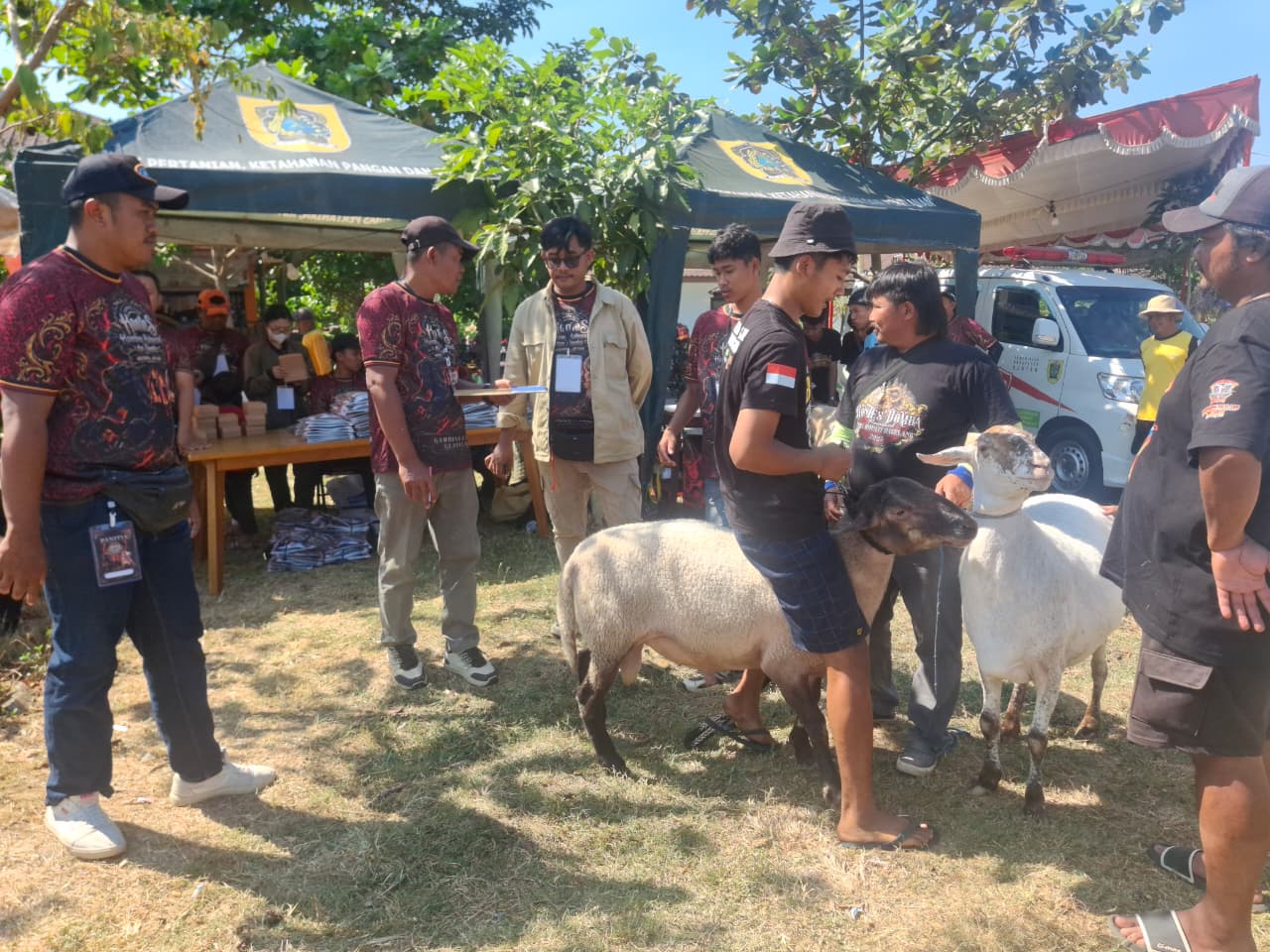 Kontes Kambing Kaligesing dan Domba Regional Jateng-DIY Semarakkan Hari Jadi ke-222 Klaten